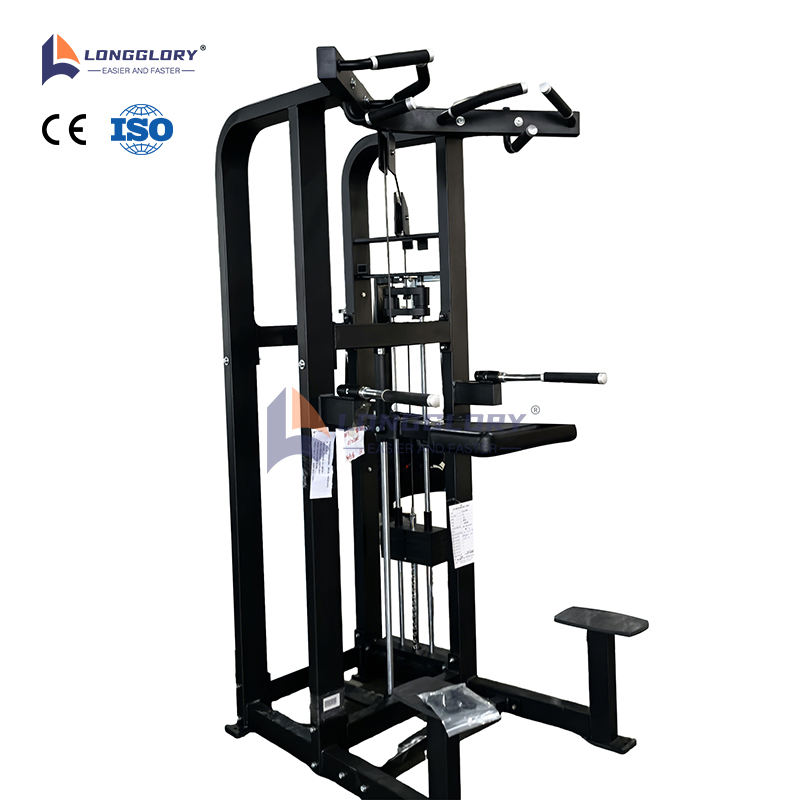 Dip Chin Machine